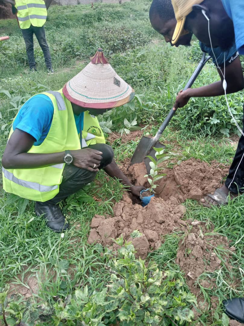 Tree Planting Campaign